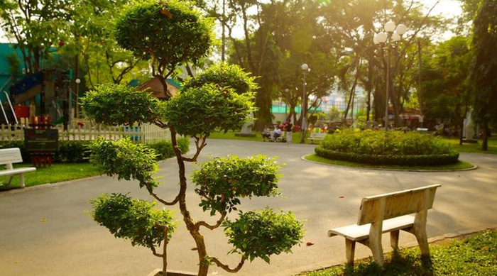 Hình ảnh minh họa (Nguồn internet) ảnh 1