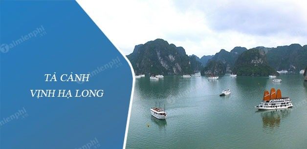 Hình ảnh minh họa tuyệt đẹp (Nguồn: internet)