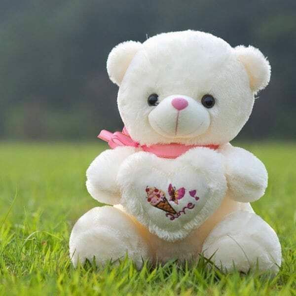 Hình ảnh chú gấu bông Midu dễ thương