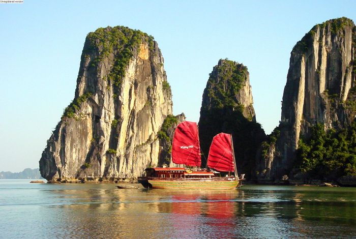 Hình ảnh minh họa sống động (Nguồn: internet) ảnh 1