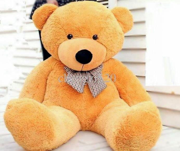 Hình ảnh chú gấu bông vàng xinh xắn