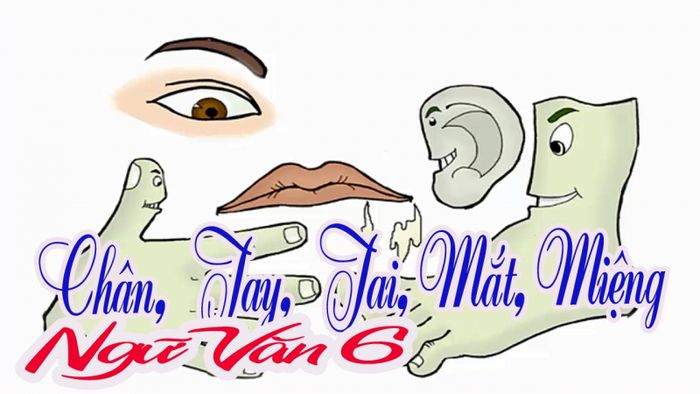 Minh Họa Ảnh 1