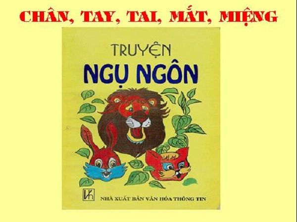 Minh Họa Ảnh 1