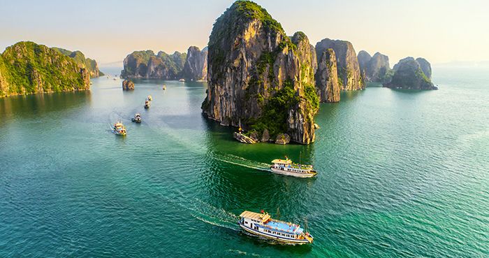 Ảnh minh họa (Nguồn internet) - hình ảnh 1