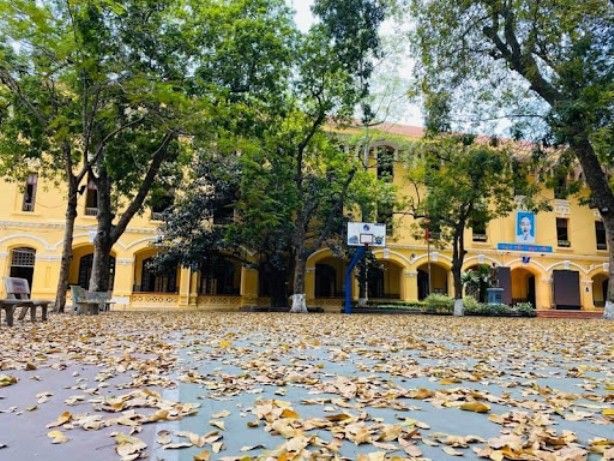 Hình ảnh minh họa sống động (Nguồn: Internet) ảnh 1