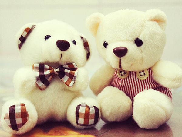 Hình ảnh chú gấu bông Mi-sa dễ thương