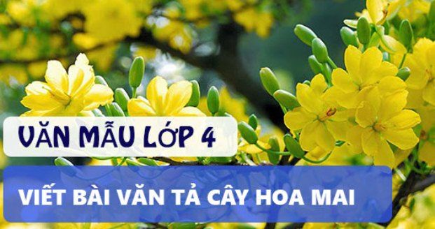 Ảnh minh họa (Nguồn internet) ảnh 1