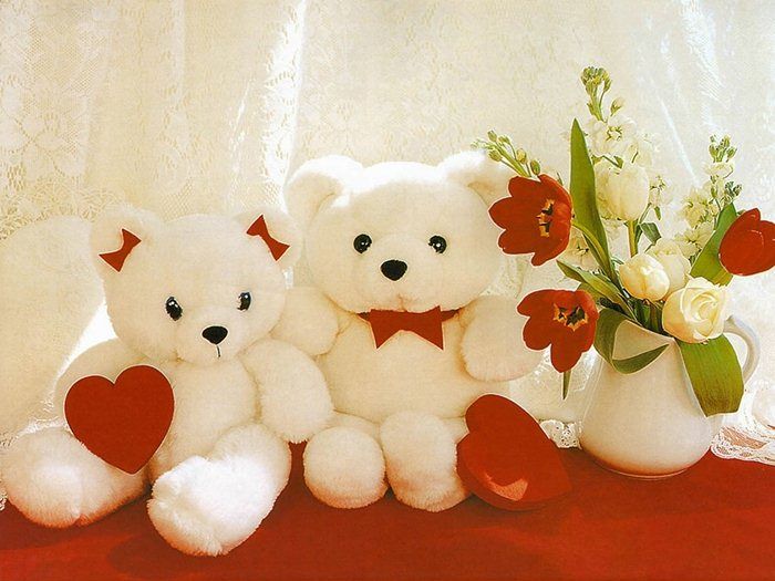 Hình ảnh chú gấu bông Midu xinh xắn