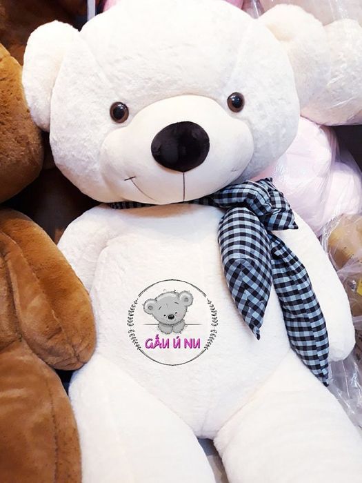 Hình ảnh minh họa chú gấu bông Mi La dễ thương