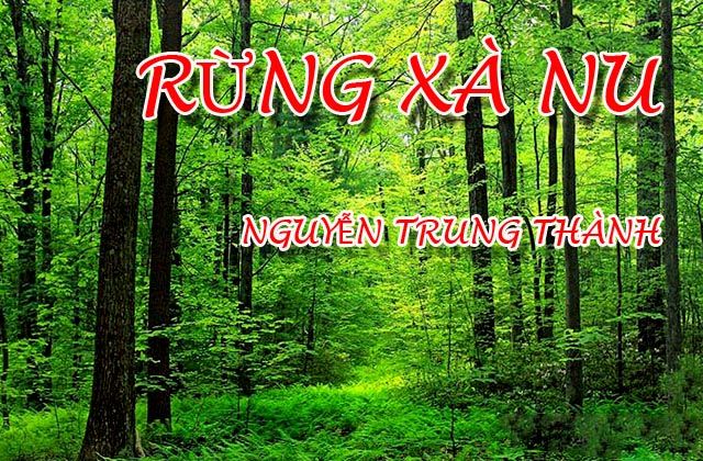 Hình ảnh minh họa: Đôi bàn tay Tnú - Biểu tượng của nghị lực và căm thù