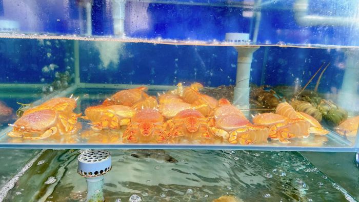 Những món hải sản tươi sống được chế biến tinh tế tại C.ine