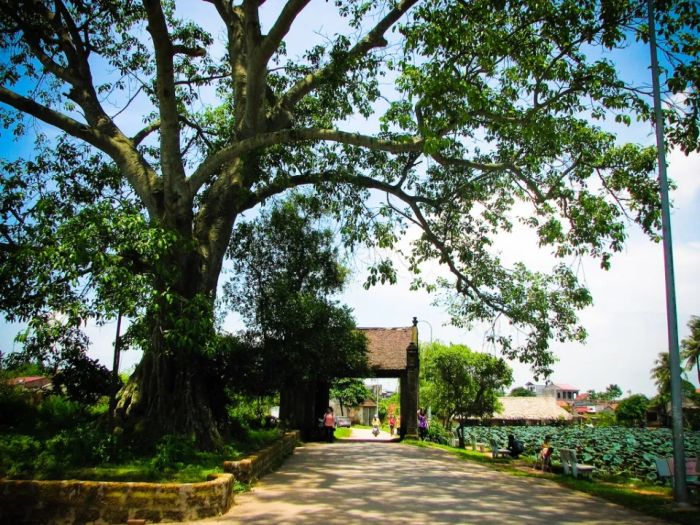 Hình ảnh minh họa số 2