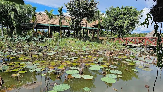 Không gian đầm sen thơ mộng
