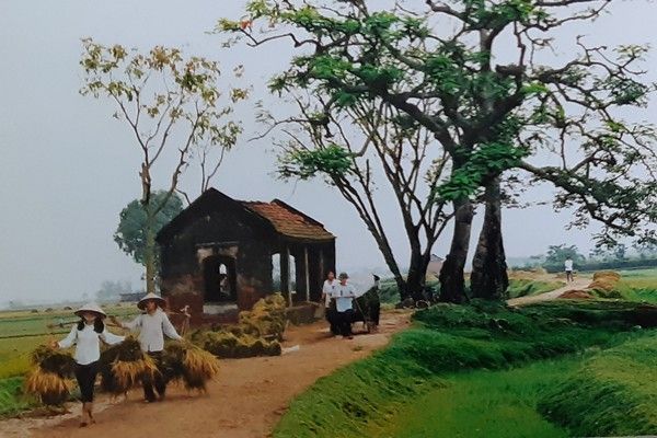 Hình ảnh minh họa 1: Chân dung nhân vật ông Hai trong tác phẩm