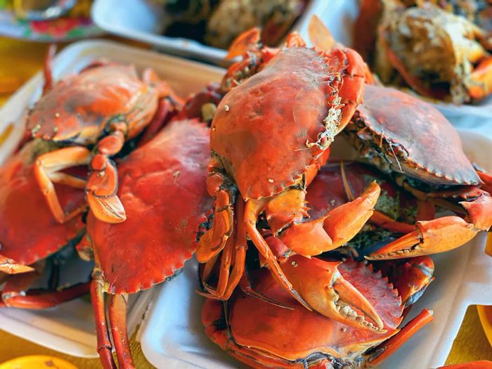 Đặc sản hải sản ảnh 1 - Tươi ngon đúng điệu