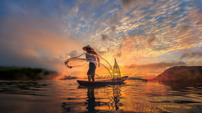 Hình ảnh minh họa sống động (Nguồn: internet)