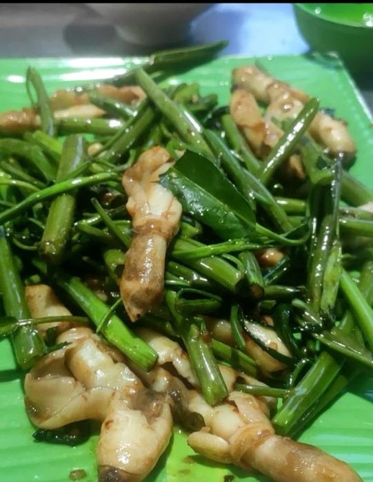 Ốc Ngọc Mỹ Tho - Hình ảnh 1