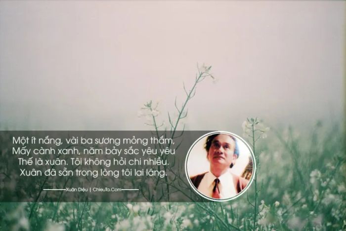 Hình ảnh 'Xuân không mùa' - biểu tượng của tâm hồn lãng mạn