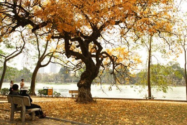 Ảnh minh họa: Khoảnh khắc giao mùa trong thơ Hữu Thỉnh