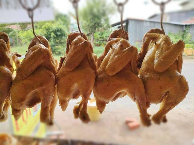 Gà béo ngậy - ảnh 1
