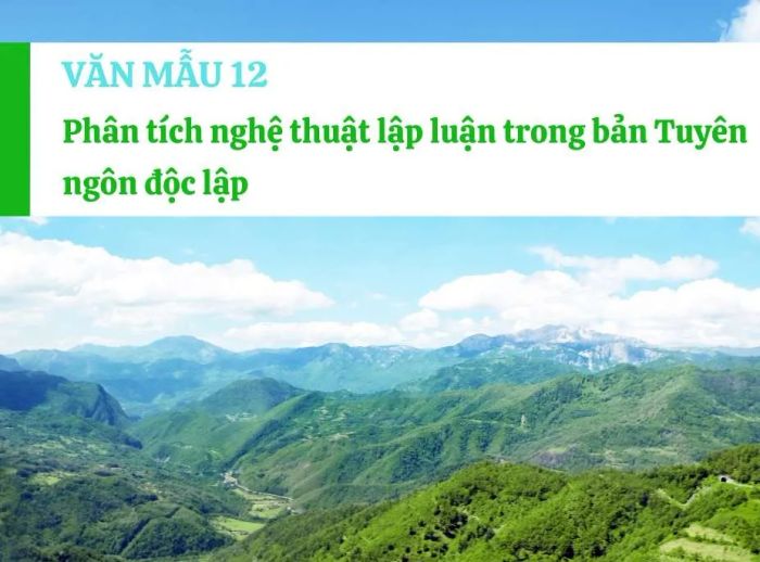 Hình ảnh minh họa số 1 (Nguồn tham khảo: Internet)