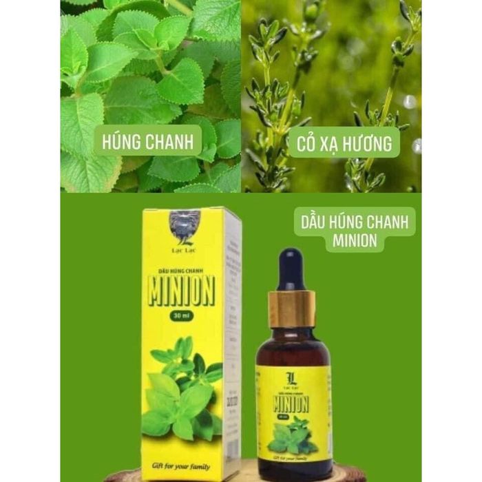 Dầu Húng Chanh Minion ảnh 2