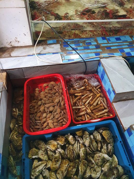 Nhà Hàng NGỌC HÀ - Ảnh 2