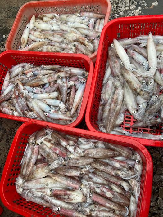 Hình ảnh Nhà hàng Lời Phương – ảnh 2