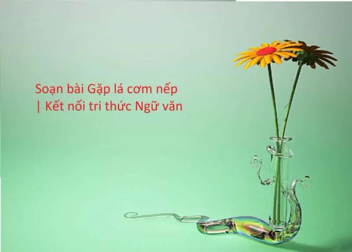 Ảnh minh họa (Nguồn internet) hình ảnh 1