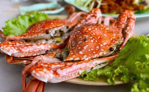 Nhà Hàng Đức Hạnh - Ảnh 2