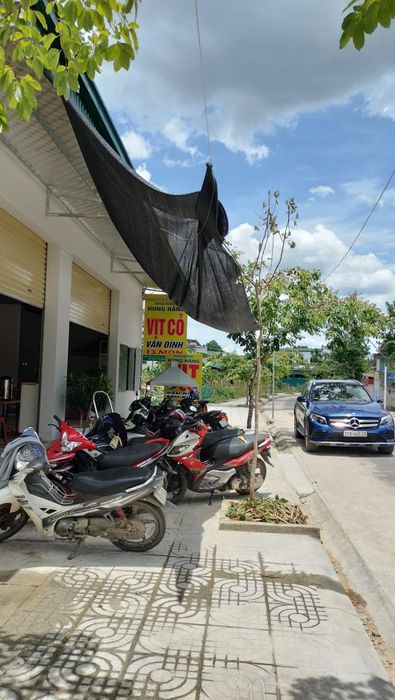Món ngon đặc trưng của Nhà hàng Hùng Hằng