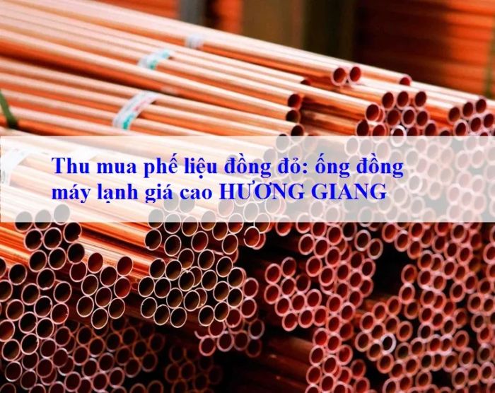 Hình ảnh hoạt động thu mua của Vựa Phế Liệu Hương Giang
