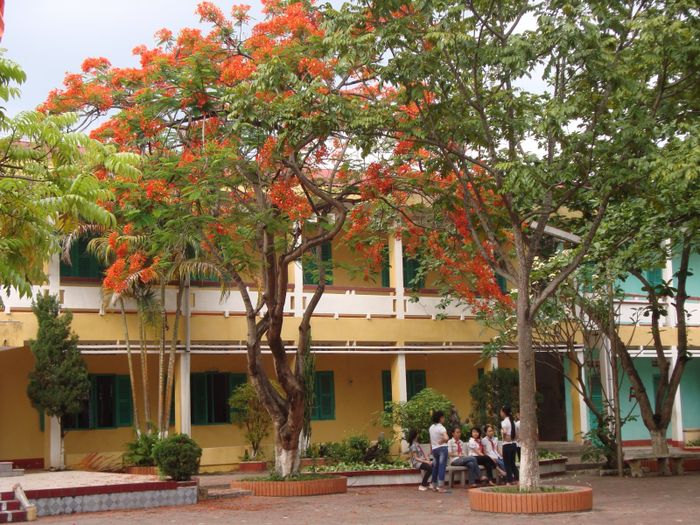 Hình ảnh minh họa chân thực (Nguồn: Internet) - Ảnh 1