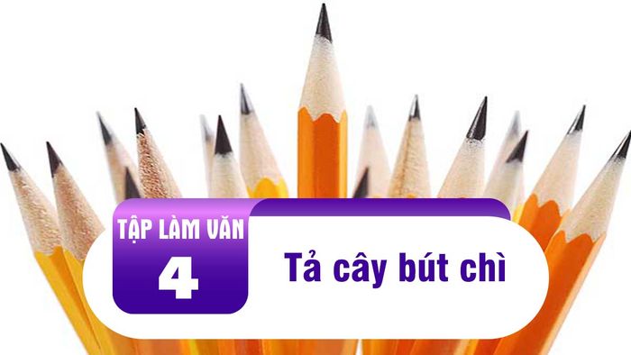 Hình ảnh minh họa chân thực (Nguồn: Internet)