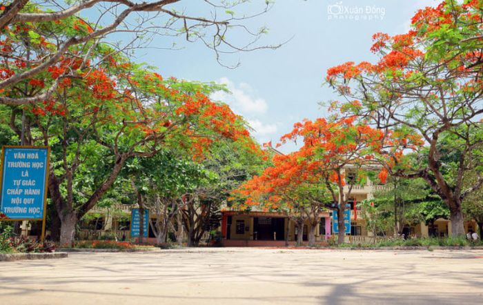 Tranh minh họa đầy cảm xúc (Nguồn từ kho tư liệu mở) - Hình 2