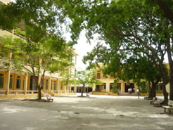 Bức ảnh minh họa sống động (Nguồn từ kho dữ liệu trực tuyến) - Hình 1