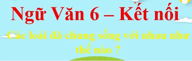Hình ảnh minh họa sống động về thế giới tự nhiên (Nguồn: Internet)