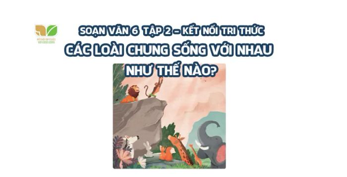 Hình ảnh minh họa ấn tượng về hệ sinh thái (Nguồn: internet)
