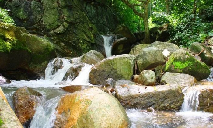 Hình ảnh minh họa: Ánh sáng lý tưởng tỏa rạng