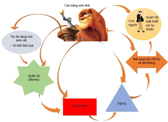 Bức ảnh minh họa sống động về hệ sinh thái đa dạng (Nguồn: internet)