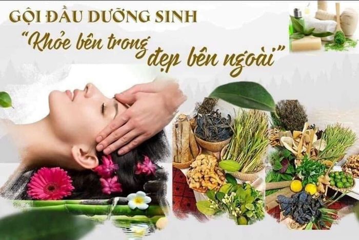 DƯỠNG SINH ANA ảnh 3