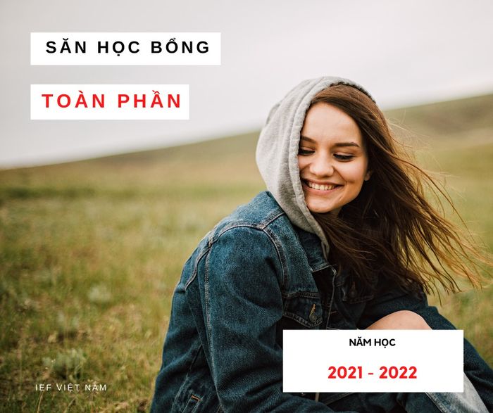 Hình ảnh không gian tư vấn chuyên nghiệp tại IEF
