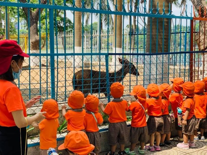 Ảnh Trường Mầm Non Gia Viên Montessori Hòa Xuân 2