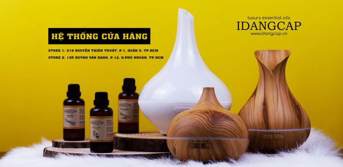 Không gian trưng bày sang trọng tại Idangcap