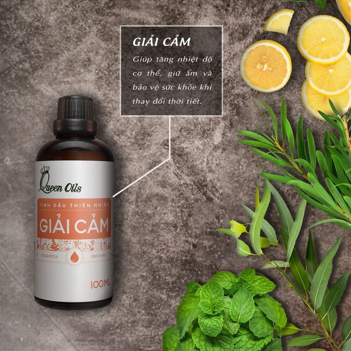 Bộ sưu tập tinh dầu đặc biệt tại Queen Oils