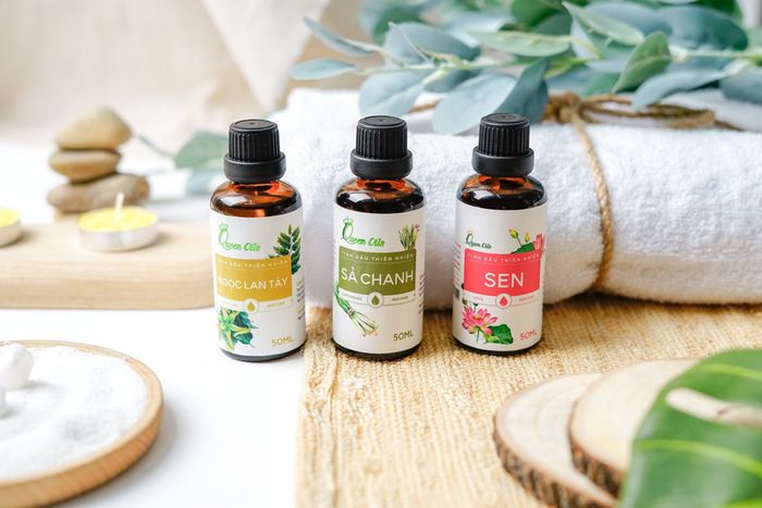 Không gian trưng bày sang trọng tại Queen Oils
