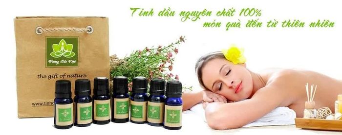Bộ sưu tập tinh dầu La Champa đa dạng tại Hương Sắc Việt
