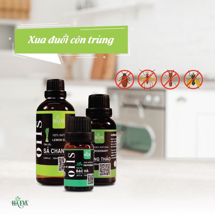 Bộ sưu tập tinh dầu cao cấp tại HA EVA