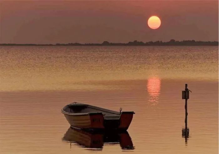 Ảnh minh hoạ của bài viết này cung cấp cái nhìn trực quan về vẻ đẹp thiên nhiên, hòa quyện với cảm xúc buồn và lắng đọng trong tác phẩm 'Tràng giang'.