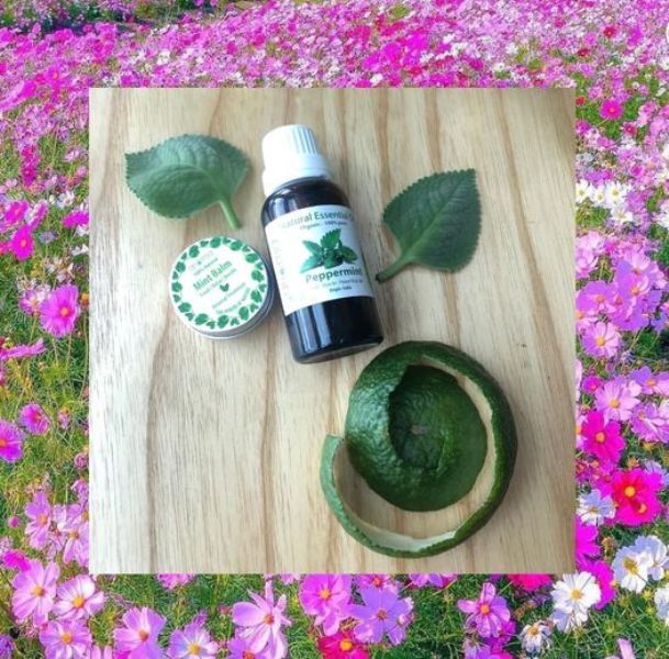 Không gian trải nghiệm đa giác quan tại Green Aroma
